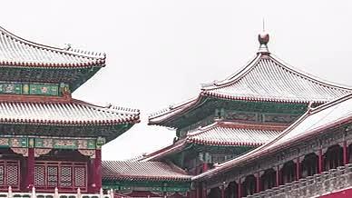 故宫红墙冬季雪景视频的预览图
